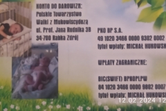 Pomoc2024_001